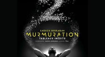 murmuration level 2