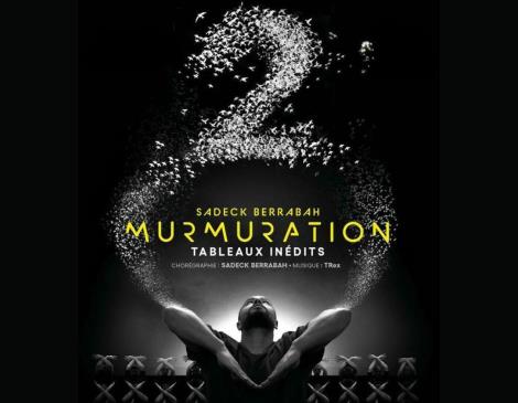murmuration level 2 - 1