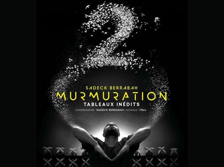 murmuration level 2