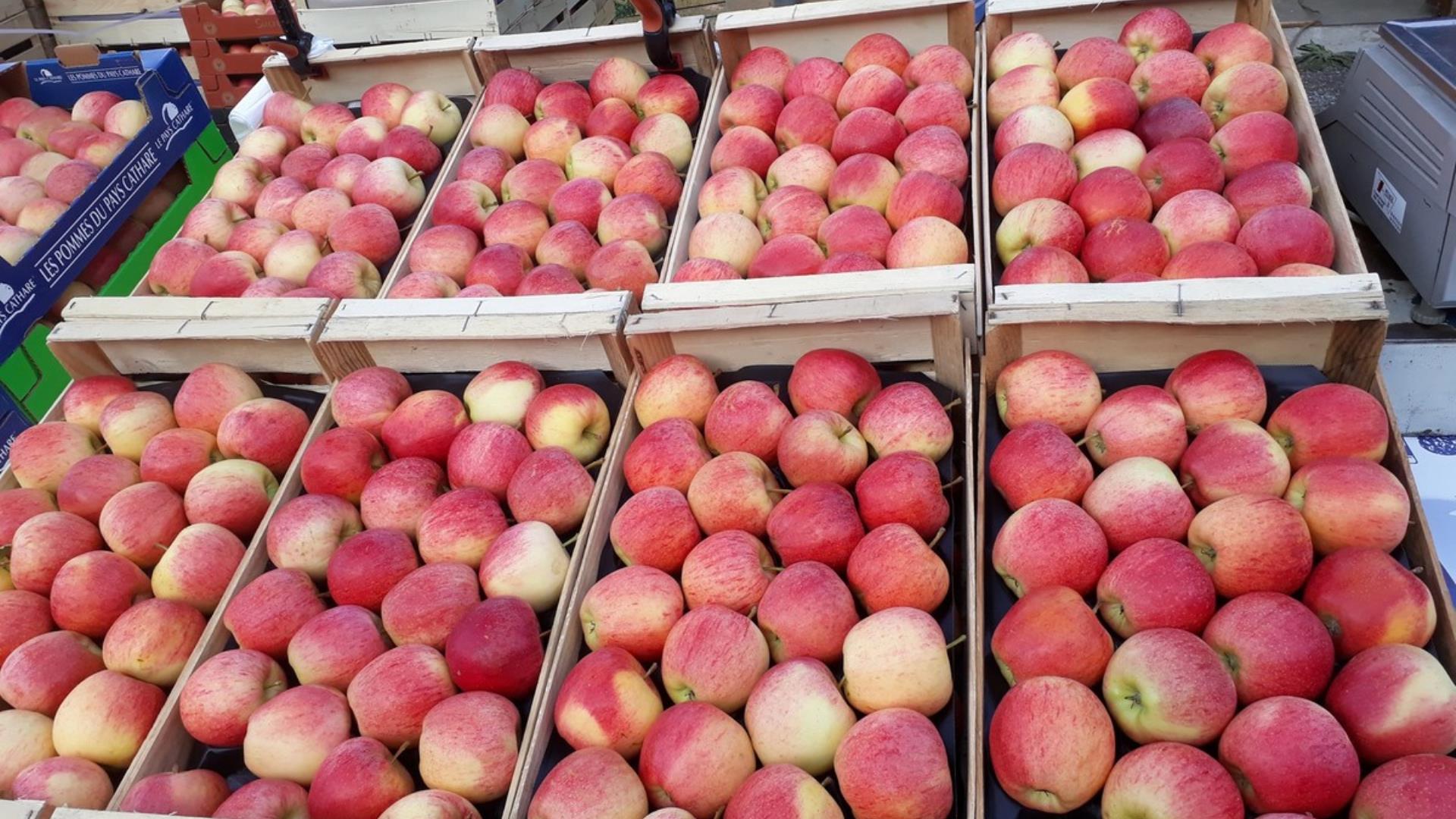 philippe Fabre-Citou