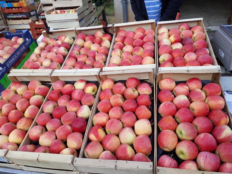 philippe Fabre-Citou