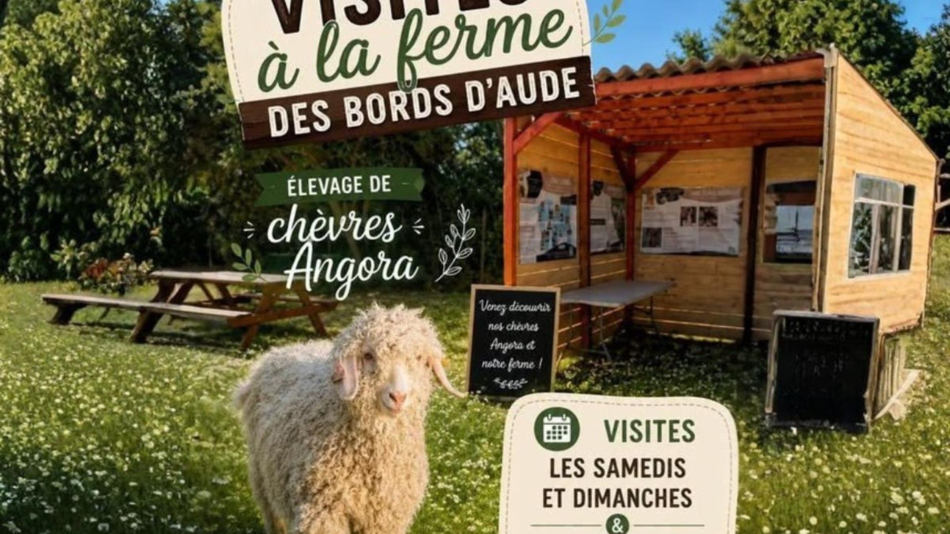 visites à la ferme des bords d'aude - 1