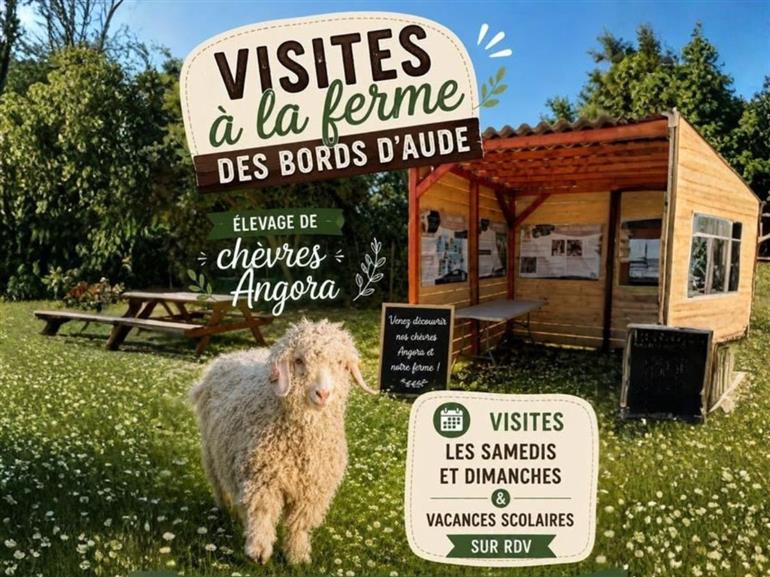 visites à la ferme des bords d'aude - 1